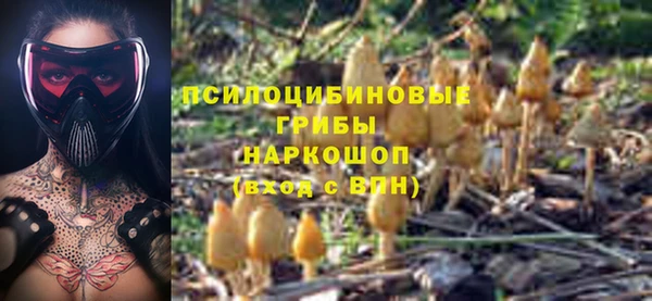 mdpv Алзамай