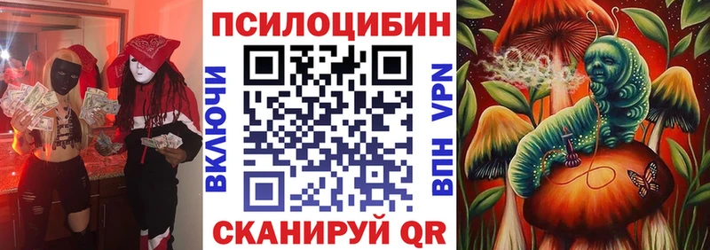 где купить наркоту  Аркадак  МЕГА маркетплейс  Псилоцибиновые грибы Magic Shrooms 